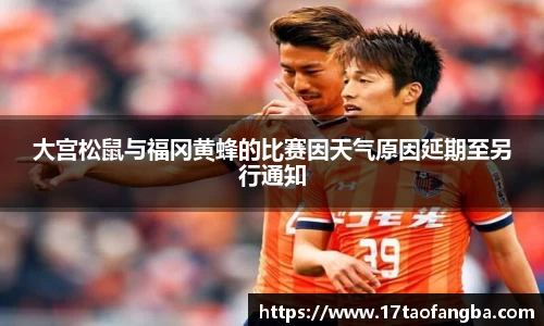 大宫松鼠与福冈黄蜂的比赛因天气原因延期至另行通知